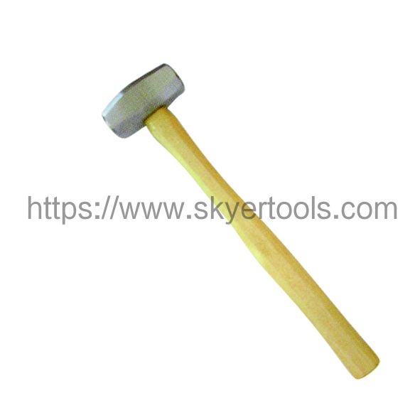 SK81031